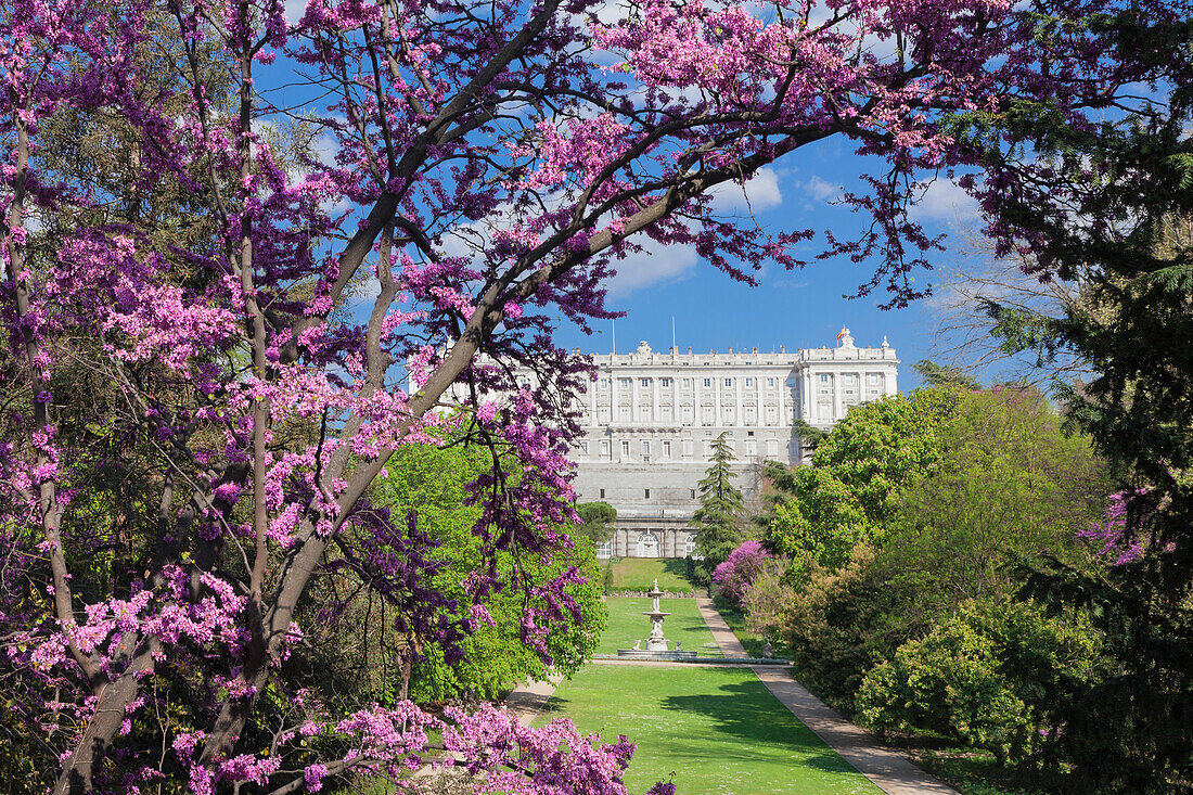 Campo del Moro Park, Royal Palace ,Palacio Real, Madrid, Spain, Europe