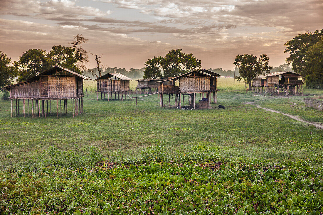 Miching-Stammhütten im Dhapak-Dorf in Majuli Island, in der Höhe gebaut, um eine Potenflut auf Brahamaputra während des Monsuns, Assam, Indien, Asien zu vermeiden