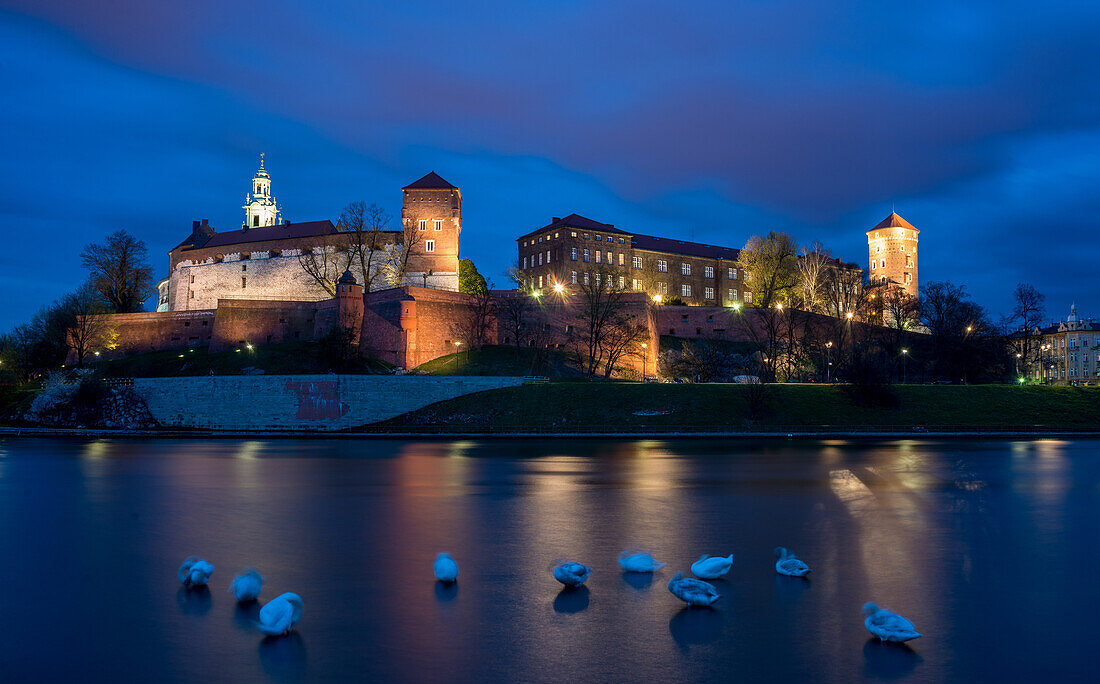 Wawel Hill Castle and Cathedral, Vistula River with swans, illuminated at night, Krakow, Poland, Europe