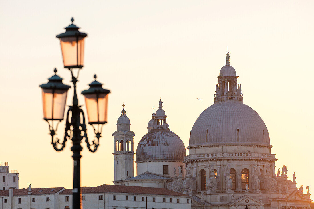 Kuppeln von Santa Maria Della Salute bei Sonnenuntergang, Venedig, UNESCO Weltkulturerbe, Veneto, Italien, Europa