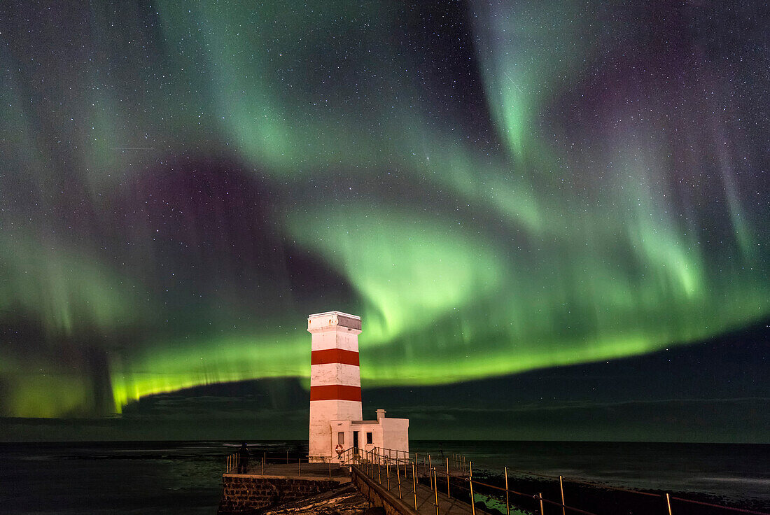 Spektakuläre Darstellung der Aurora Borealis ,Nordlichter, bei Gardur, auf der Reykjanes-Halbinsel, Island, Polarregionen
