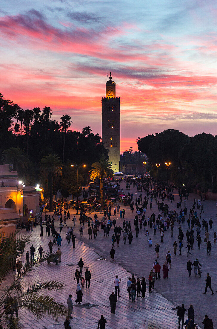 View towards Koutoubia Minaret at sunset from Djemaa el Fna, Marrakech, Morocco, North Africa, Africa