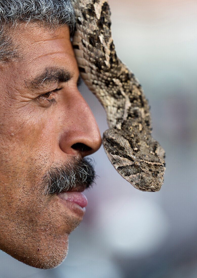 Snake charmer, Djemaa el Fna, Marrakech, Morocco, North Africa, Africa
