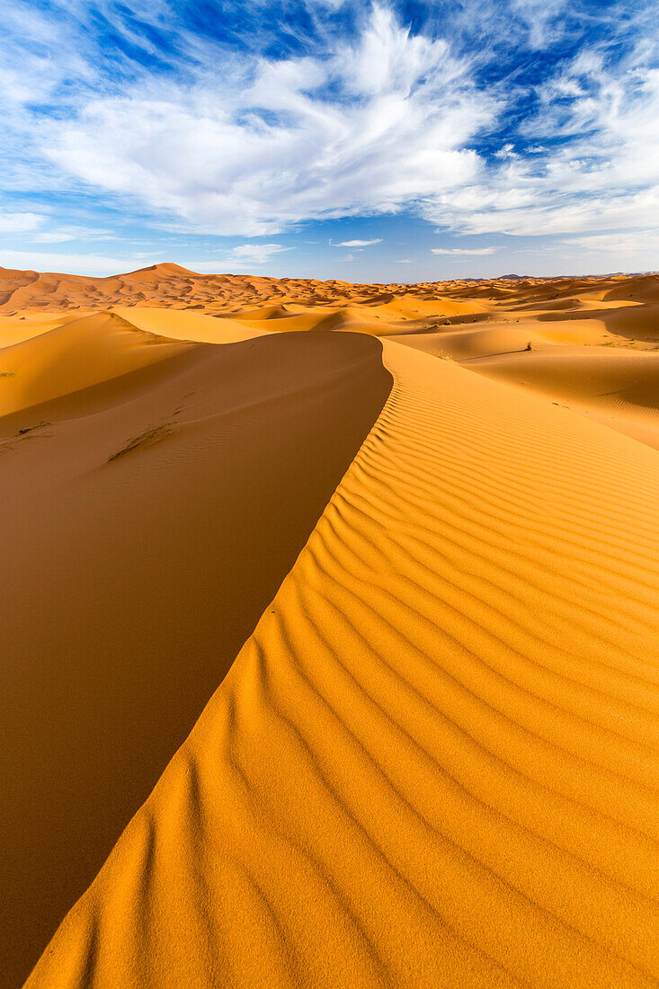 Wide angle view of the ripples and dunes of the Erg Chebbi Sand sea, part of the Sahara Desert near Merzouga, Morocco, North Africa, Africa