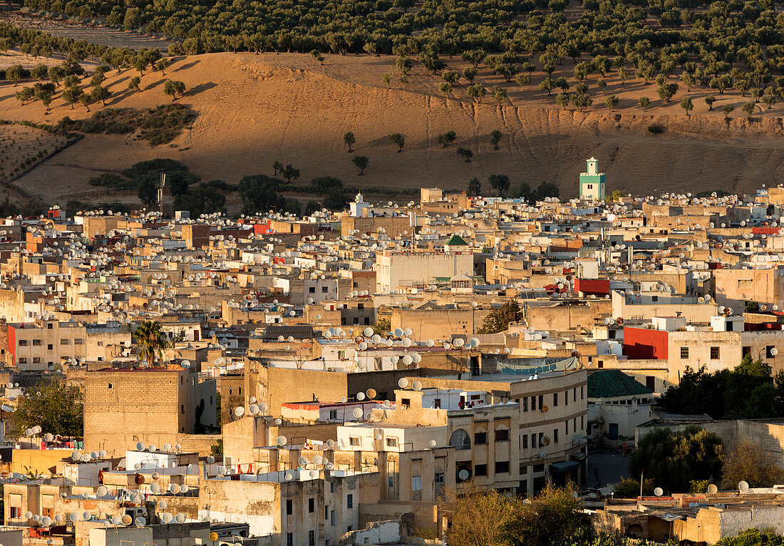 Medina of Fez bathed in evening light, UNESCO World Heritage Site, Fez, Morocco, North Africa, Africa
