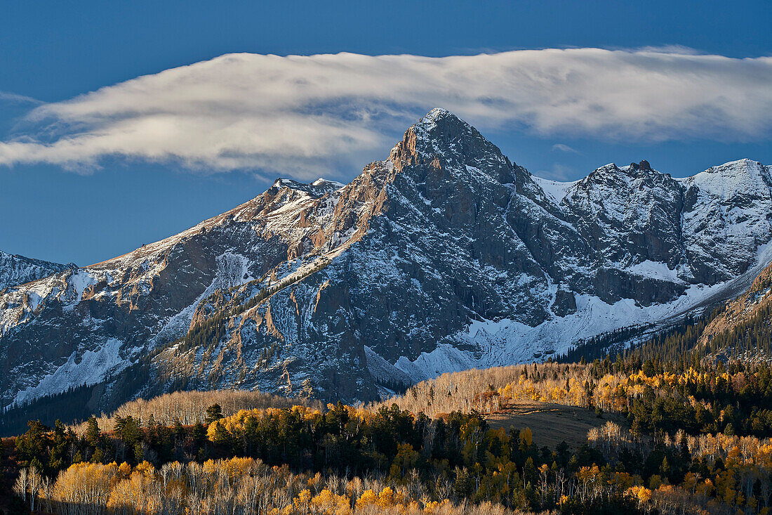 Wolcott Mountain im Herbst mit gelben und nackten Espe, Uncompahgre National Forest, Colorado, Vereinigte Staaten von Amerika, Nordamerika