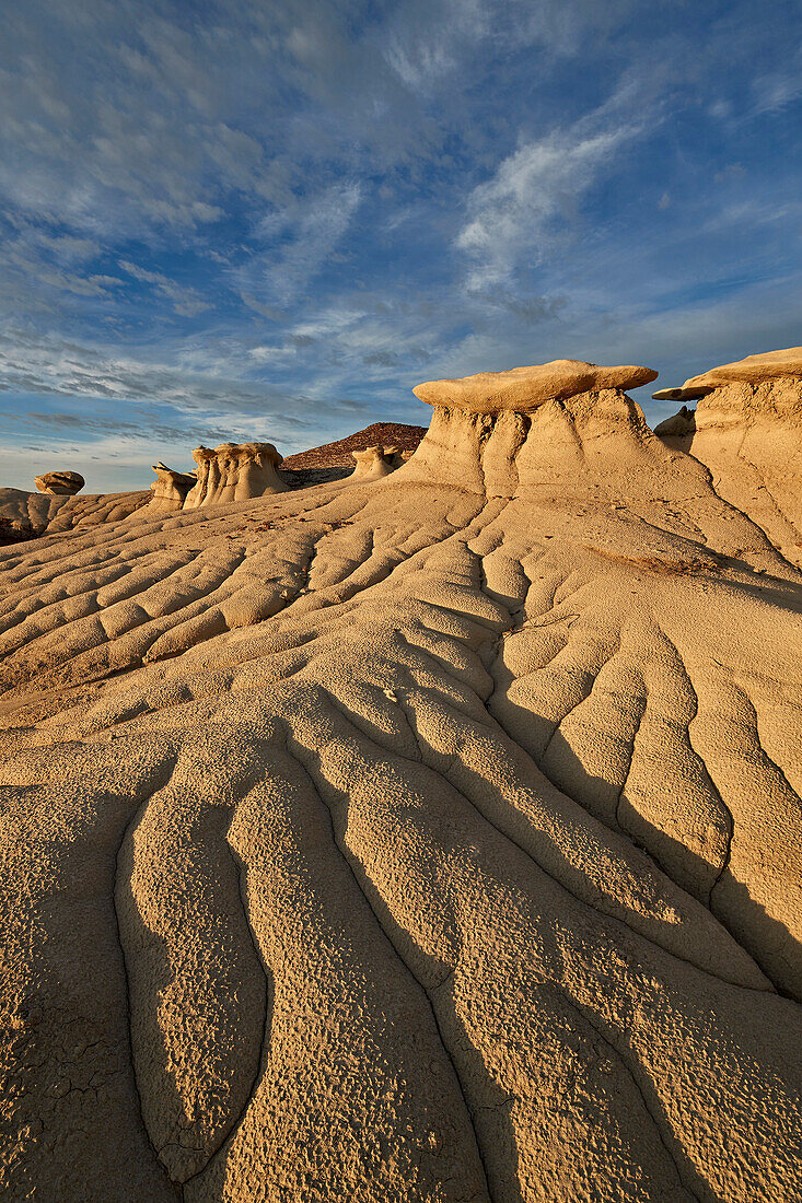 Badlands, Bisti Wilderness, New Mexico, United States of America, North America