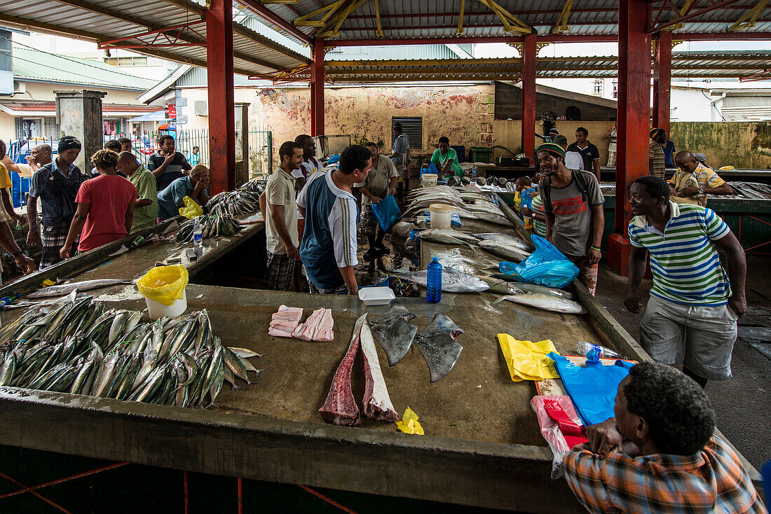 Fisch im Sir Selwyn Selwyn-Clarke Markt, Victoria, Mahe, Republik Seychellen, Indischer Ozean, Afrika
