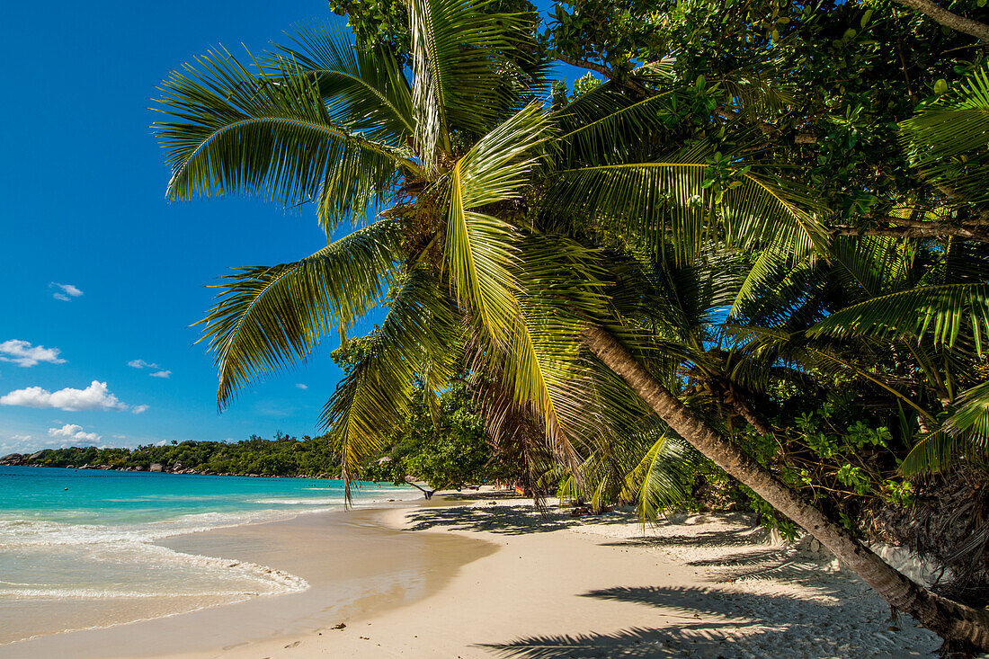 Anse Lazio Beach, Praslin, Republik Seychellen, Indischer Ozean, Afrika