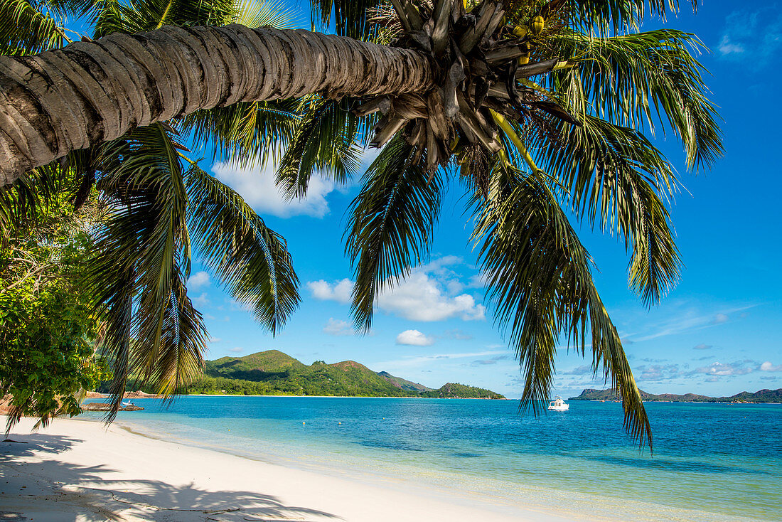 Anse Government Beach, Praslin, Republik Seychellen, Indischer Ozean, Afrika