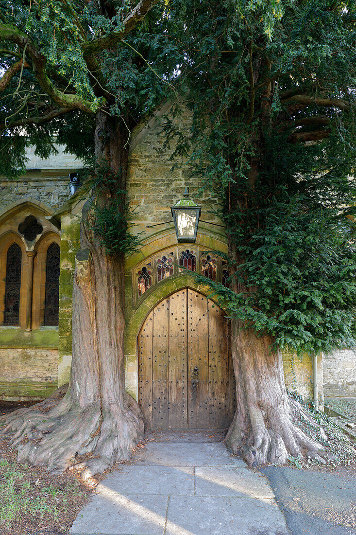 Yew trees and door of St. Edward's Church, Stow-on-the-Wold, Cotswolds, Gloucestershire, England, United Kingdom, Europe