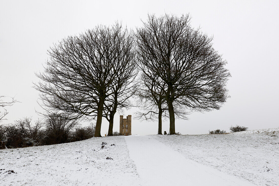 Broadway Tower umrahmt von kahlen Bäumen im Schnee, Broadway, Cotswolds, Worcestershire, England, Vereinigtes Königreich, Europa