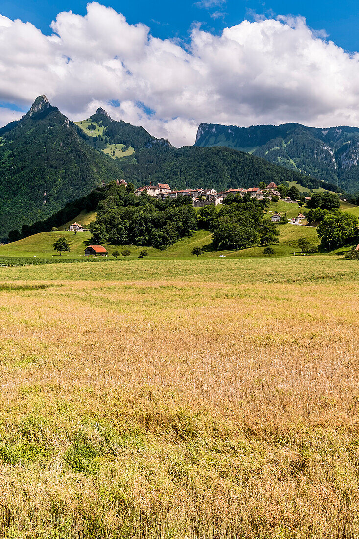 Blick auf das Dorf Gruyère, Gruyère, Kanton Freiburg, Schweiz