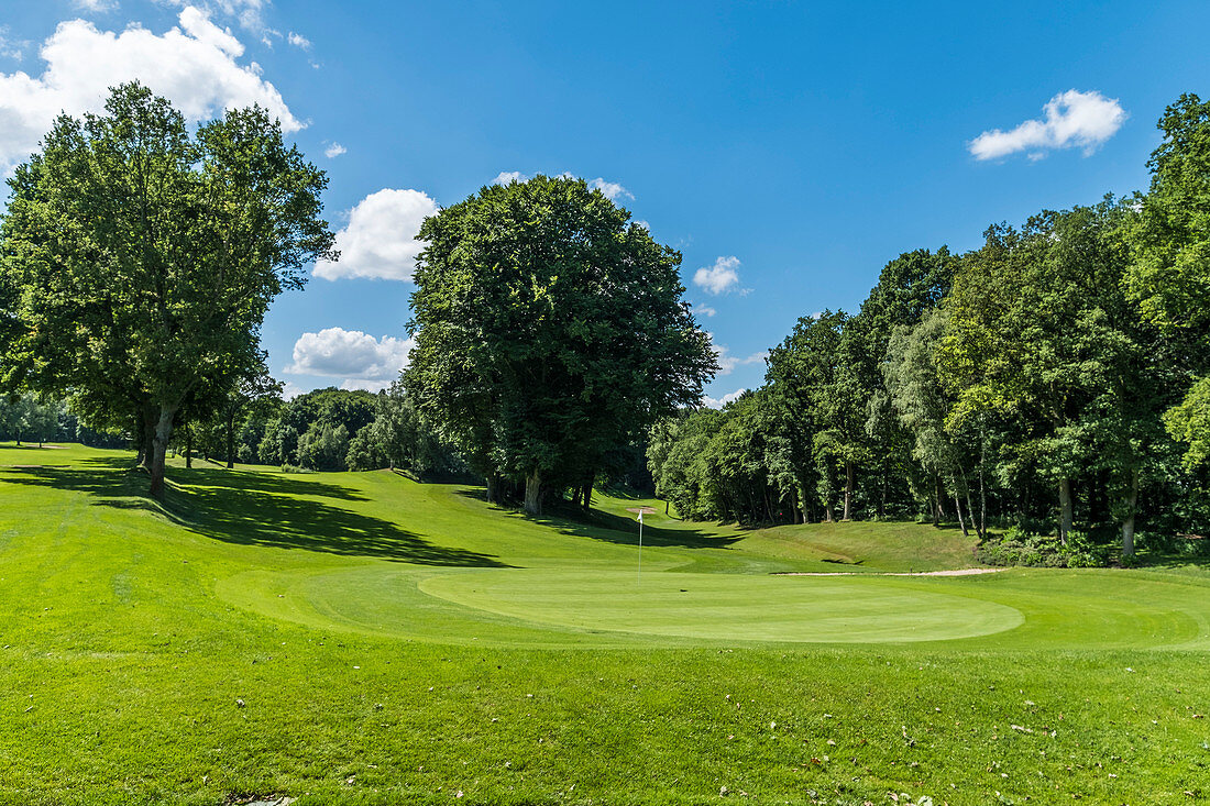 green at the Wentorf-Reinbeker Golf-Club near Hamburg, north Germany, Germany