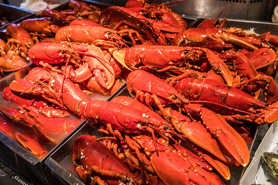 lobster in the market hall, Stockholm, Stockholm, Sweden