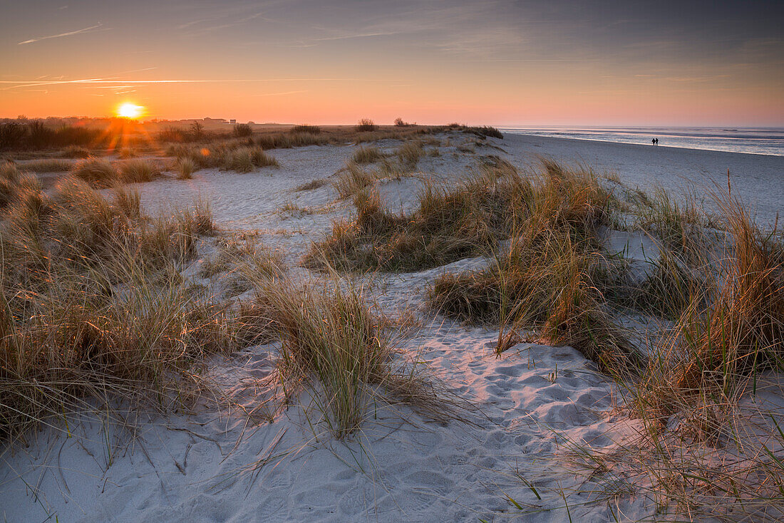 Sunset over sand dune at the German North Sea, Wattenmeer National Park, Schillig, Wangerland, Landkreis Friesland, Lower Saxony, Germany