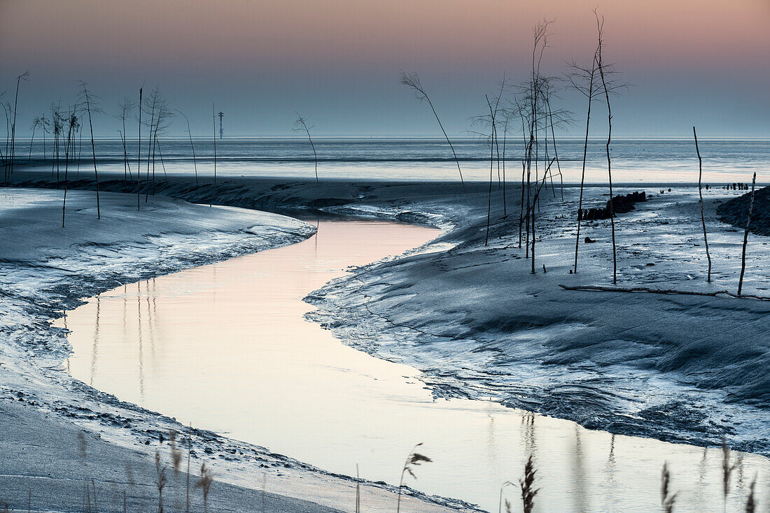 Priel im Nationalpark Wattenmeer bei Abenddämmerung, Nordsee, Wremen, Land Wursten, Cuxhaven, Niedersachsen, Deutschland