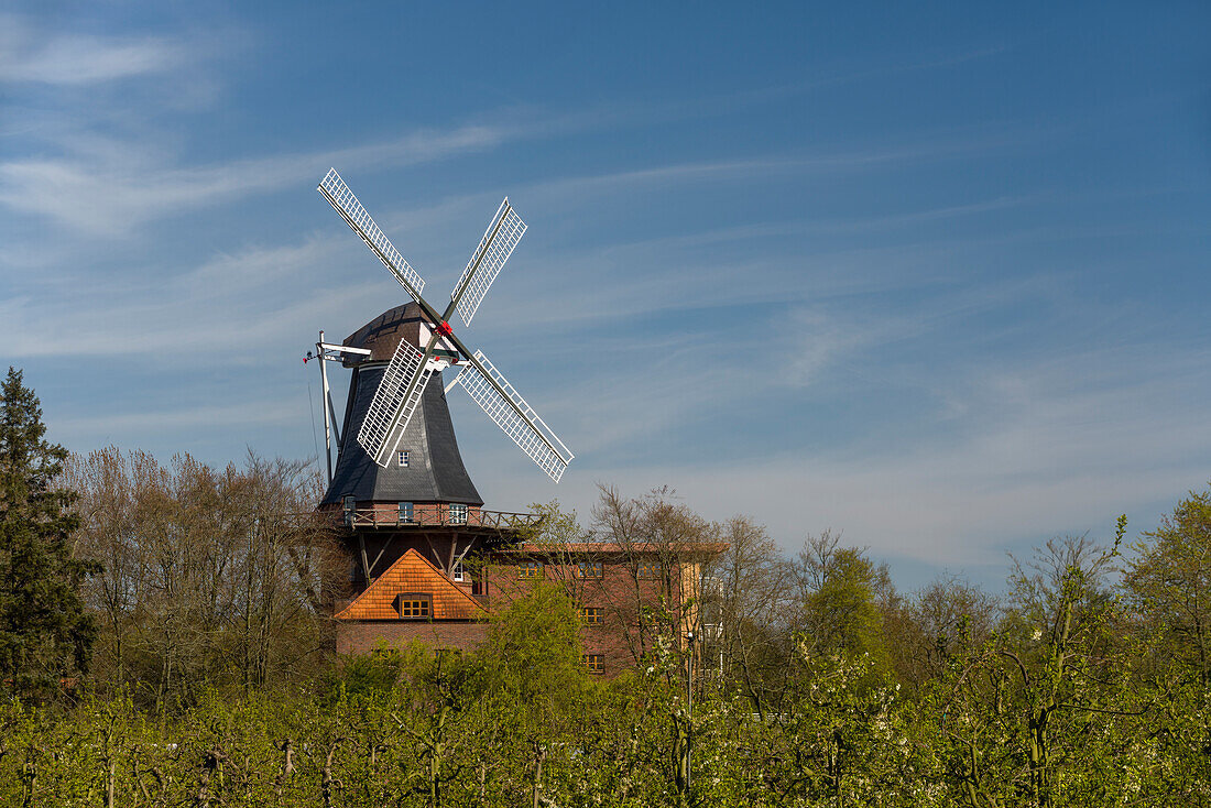Windmill Westeraccum in the evening light, Dornum, Ostfriesland, Lower Saxony, Germany