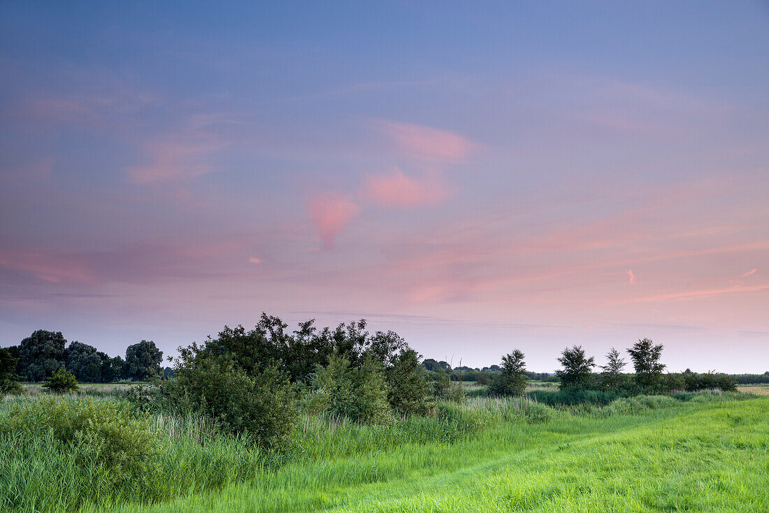 Friesische Landschaft im Abendlicht, Dykhausen, Sande, Landkreis Friesland, Niedersachsen, Deutschland