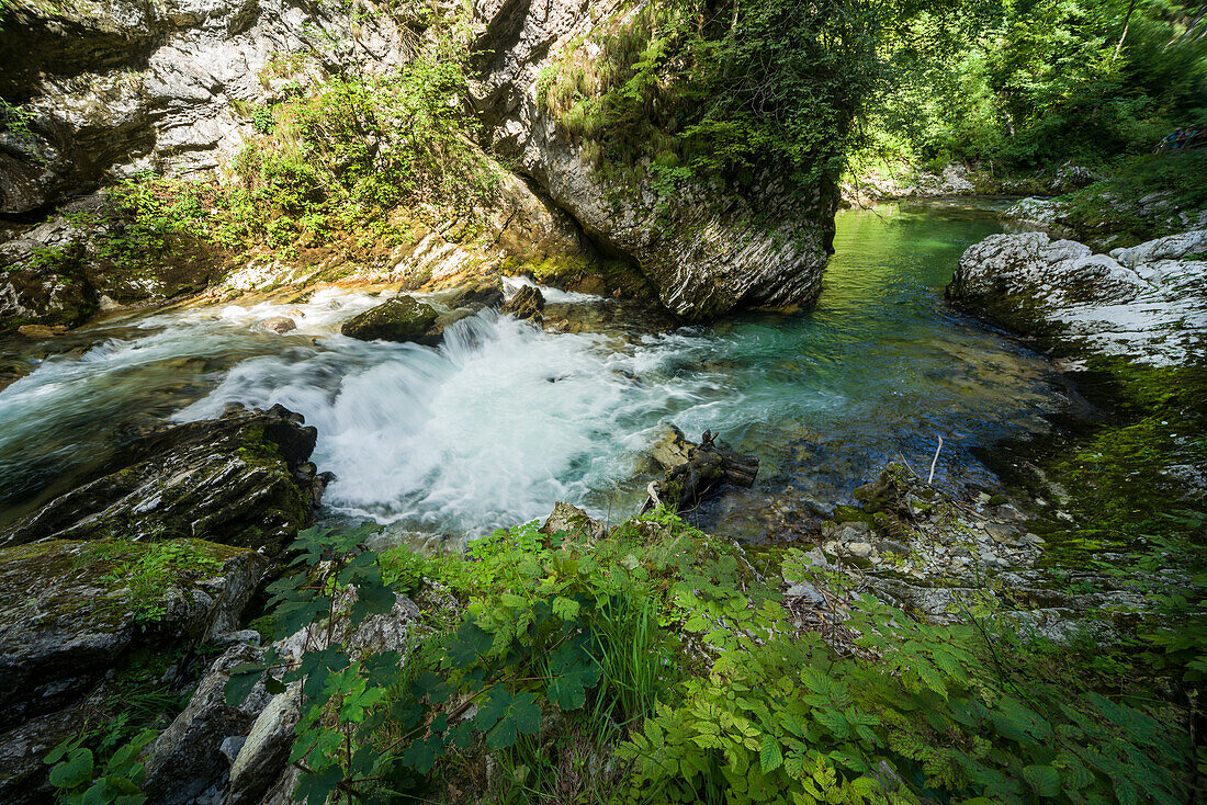 Fluss Radovna fließt durch die Vintgar Klamm, Podhom, Gorje, Gorenjska, Oberkrain, Nationalpark Triglav, Julische Alpen, Slowenien