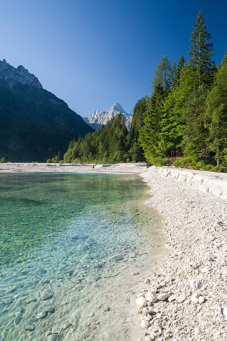 Fluss Pisnica mit Blick auf den Berg Razor, Kranjska Gora, Gorenjska, Oberkrain, Nationalpark Triglav, Julische Alpen, Slowenien