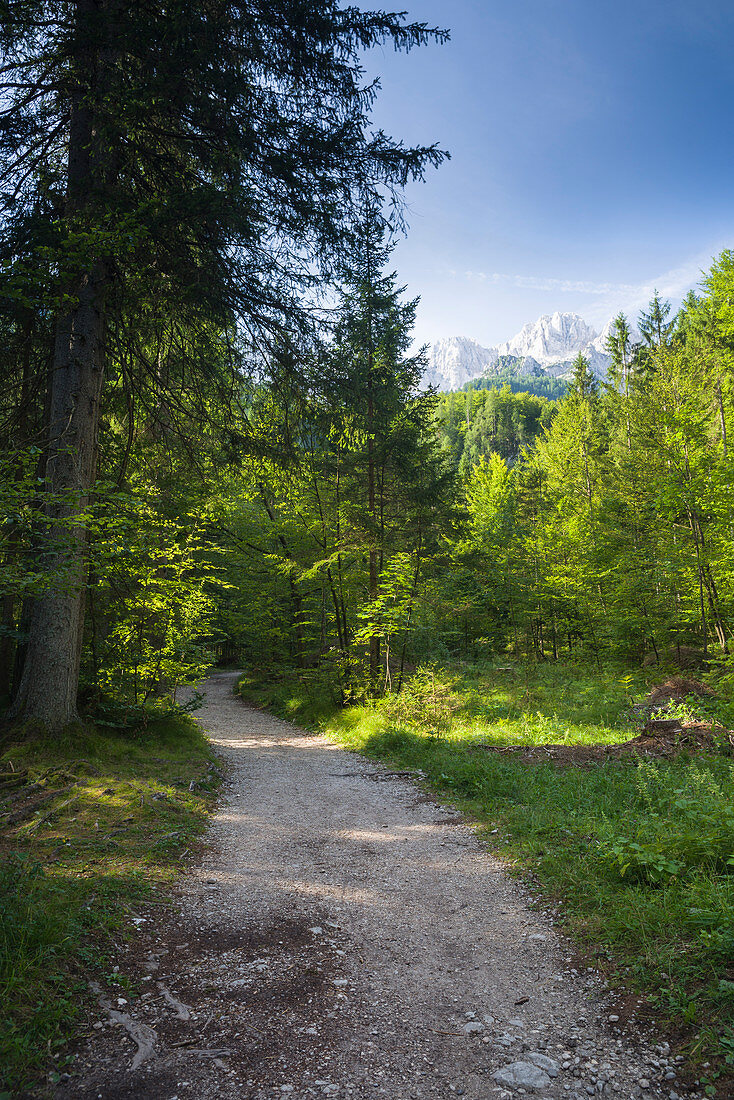 Hiking trail and a view of the Julian Alps, Gozd Martuljek, Kranjska Gora, Gorenjska, Upper Carniola, Triglav National Park, Slovenia
