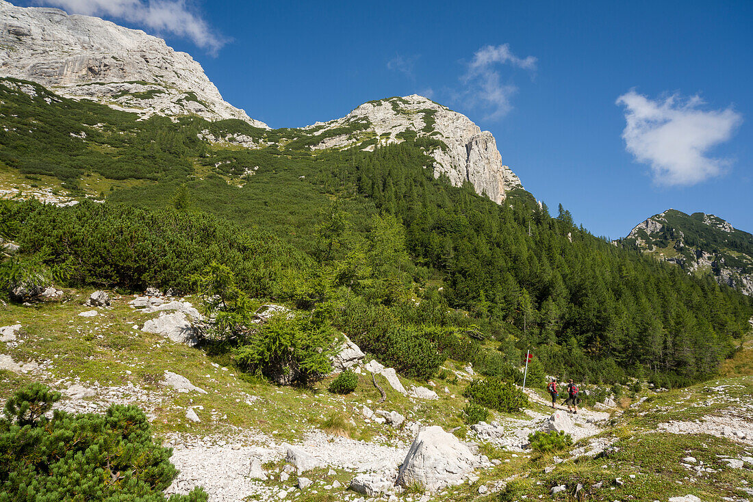 Hiking trail at Mojstrovka mountain, Gorenjska, Upper Carniola, Triglav National Park, Julian Alps, Slovenia