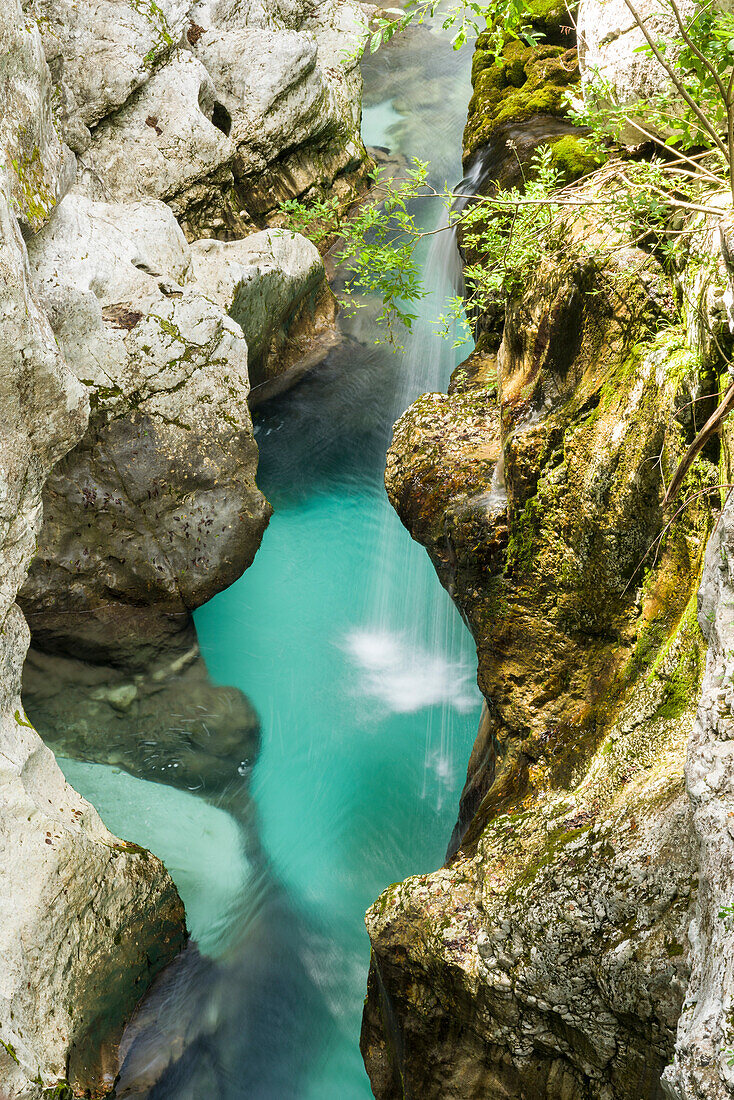 The , Velika Korita, , Great Soca Gorge, Lepena, Bovec, Gorenjska, Upper Carniola, Triglav National Park, Julian Alps, Slovenia