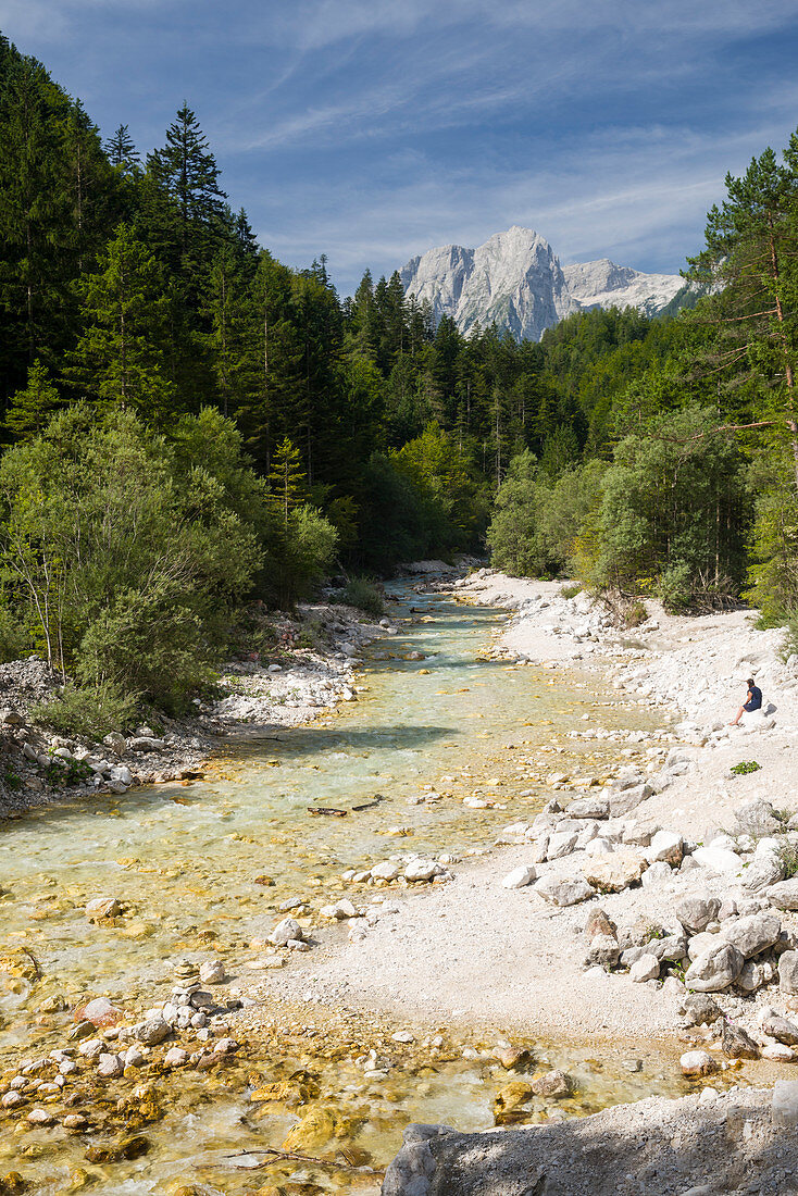 View of Vrata Valley with river Bistrica, Mojstrana, Kranjska Gora, Gorenjska, Upper Carniola, Triglav National Park, Julian Alps, Slovenia