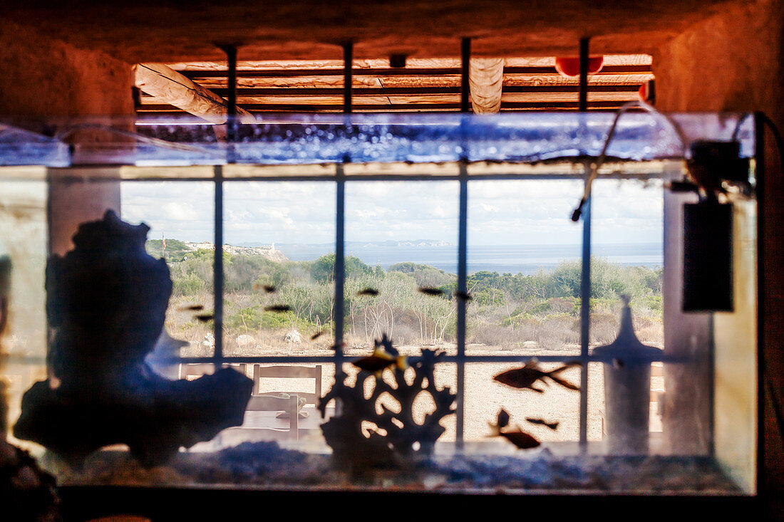 Aquarium in the window of small tavern Refugio del Águila next to the Mirador del Aguila Bunker, Mallorca, Balearic Islands, Spain