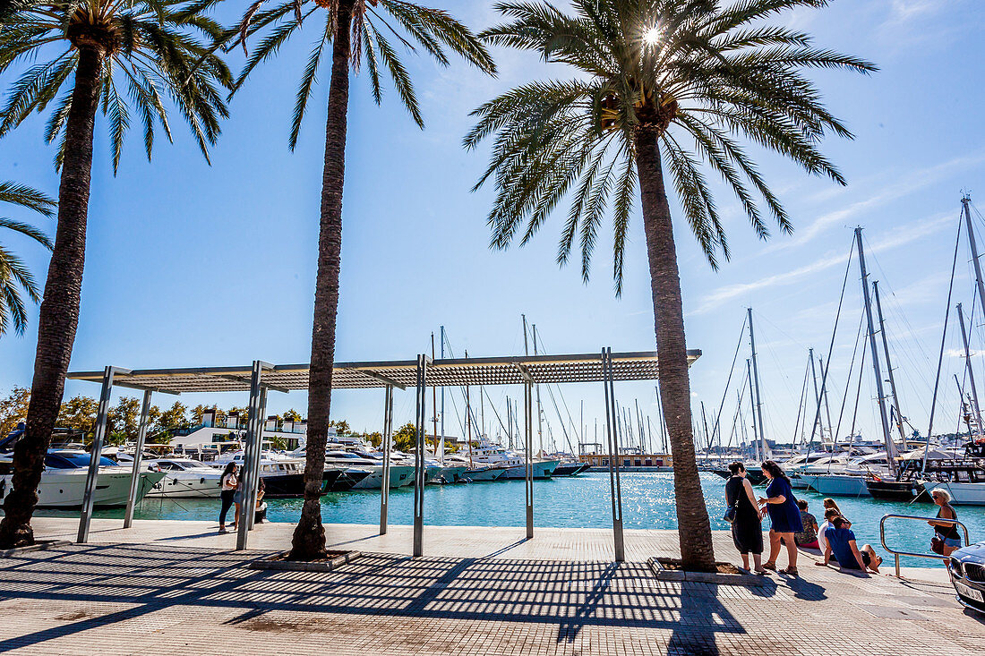 Luxus-Yachten im Hafen von Palma, Mallorca, Spanien, Europa