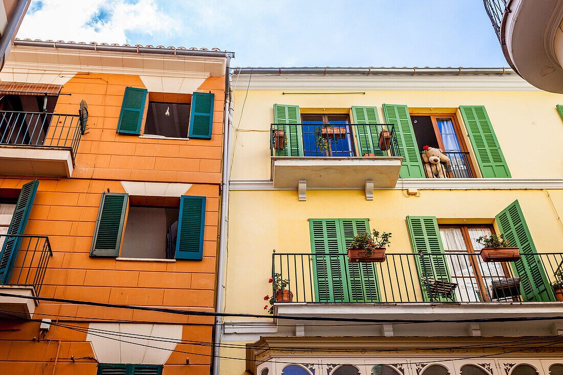 Early XX century buildings with teddybear near la Rambla, historic city centre, Ciutat Antiga, Palma de Mallorca, Majorca, Balearic Islands, Mediterranean Sea, Spain, Europe