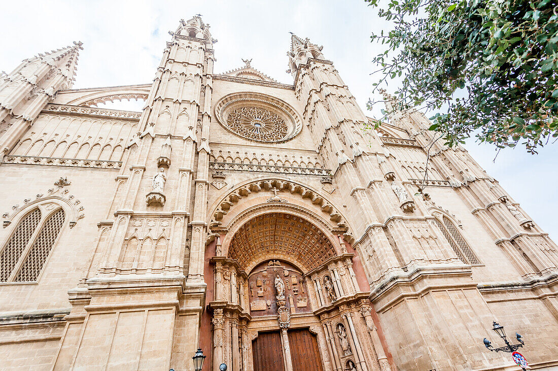 The Palma Cathedral, la Seu, Palma Old town, Palma de Mallorca, Majorca, Balearic Islands, Mediterranean Sea, Spain, Europe