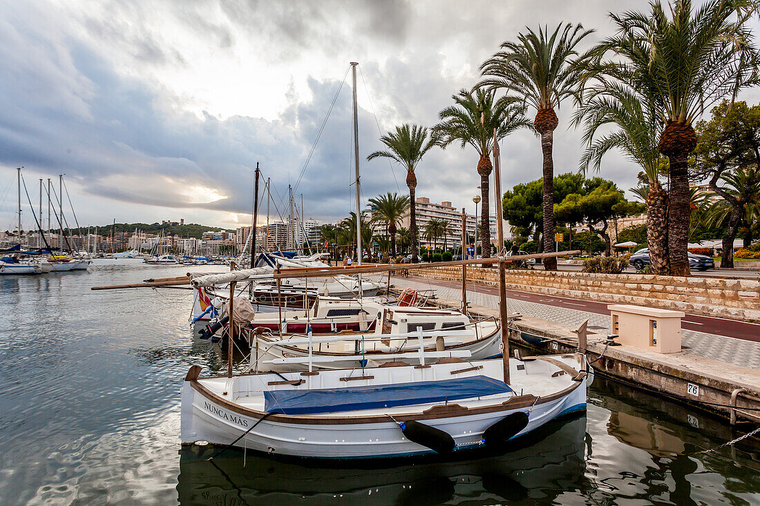 Luxus-Yachten im Hafen von Palma, Mallorca, Spanien, Europa