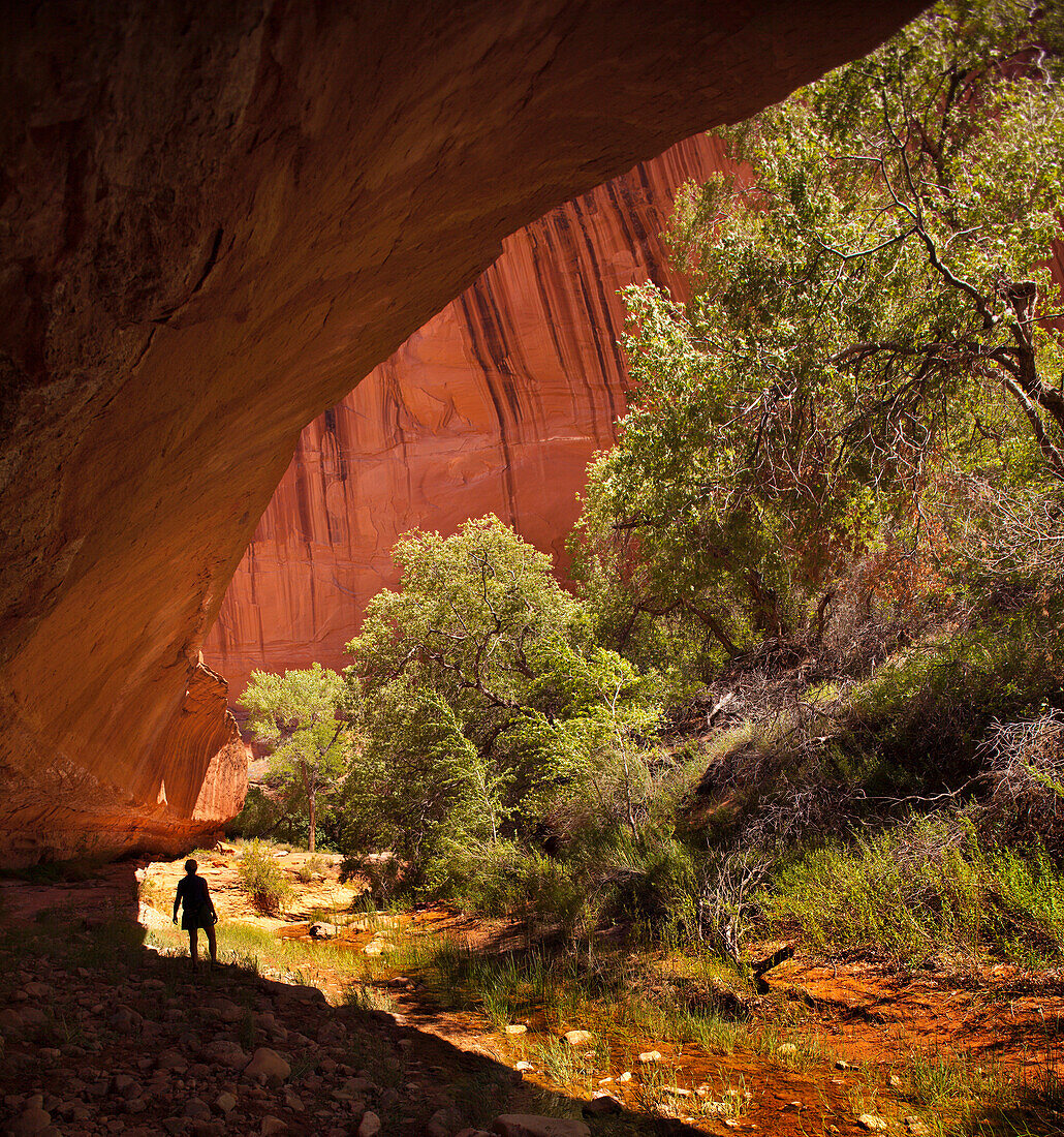 Hiking Willow Canyon, Grand Staircase … – License image – 71183359 ...