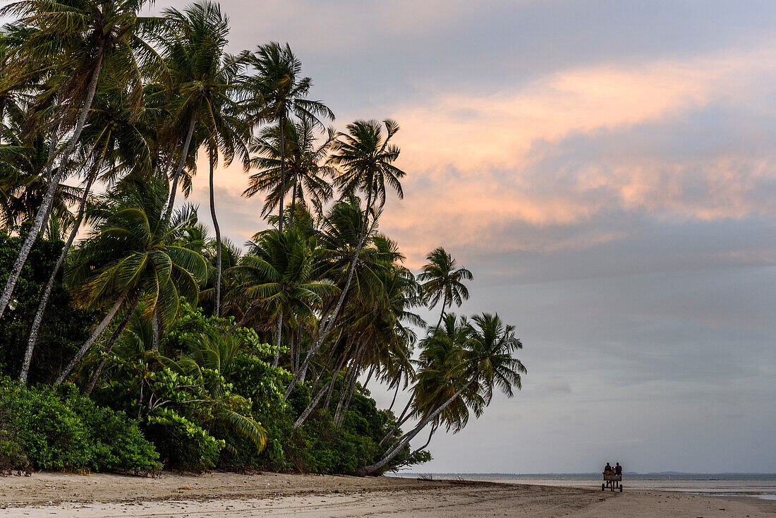 Schöne Landschaft mit Kokosnuss-Palmen am tropischen Strand bei Sonnenuntergang, Boipeba Island, South Bahia, Brasilien