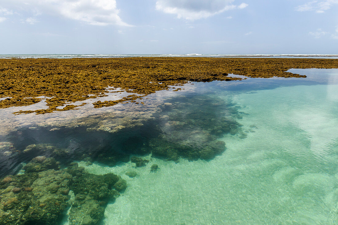 Seascape of natural pools on reefs, Boipeba Island, South Bahia, Brazil