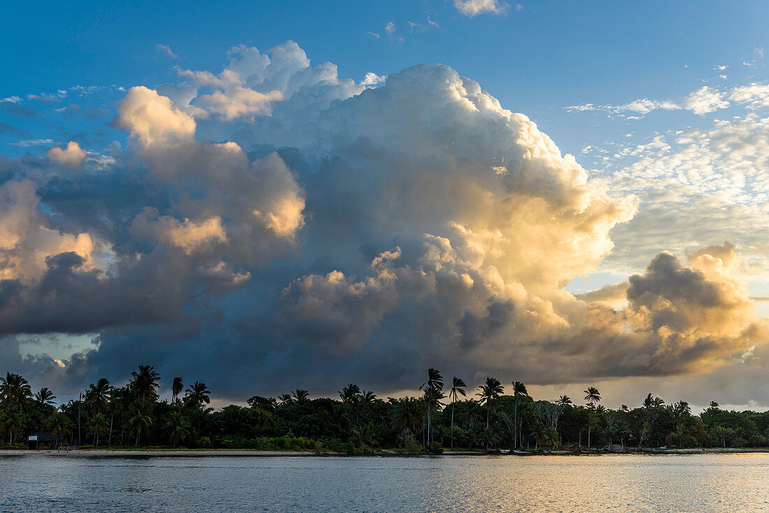 Schöner tropischer Strand mit Palmenkokosnussbäumen und schweren Wolken in Süd-Bahia, Peninsula de Marau, Brasilien