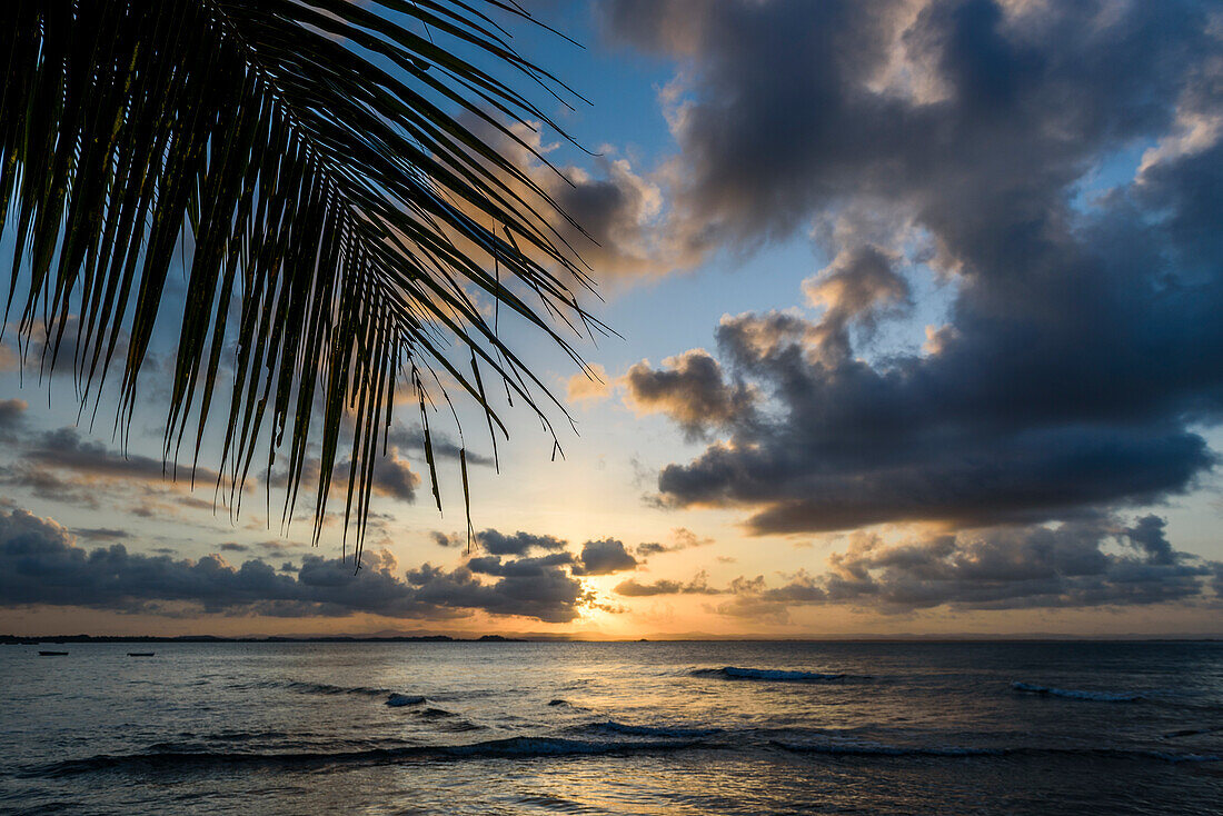 Palmblättern und Sonnenuntergang mit Wolken im tropischen Strand, Süd-Bahia, Peninsula de Marau, Brasilien