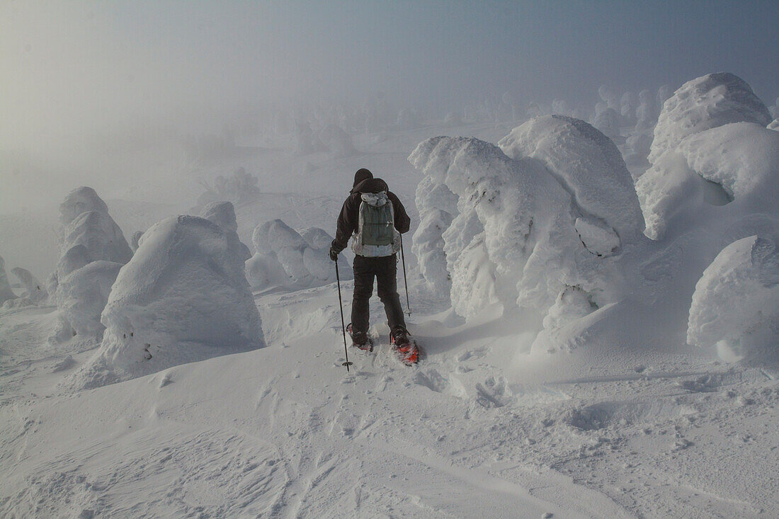 Schneeschuhwandern auf Big White Mountain, British Columbia, Kanada