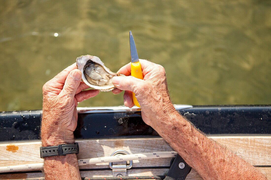 Bucht von Arcachon (in Französisch, das Bassin d'Arcachon, auch bekannt als le Bassin) ist eine Bucht des Atlantiks an der Südwestküste Frankreichs, in Pays de Buch zwischen der Côte d'Argent und der Côte des Landes gelegen , in der Region Aquitanien. Die