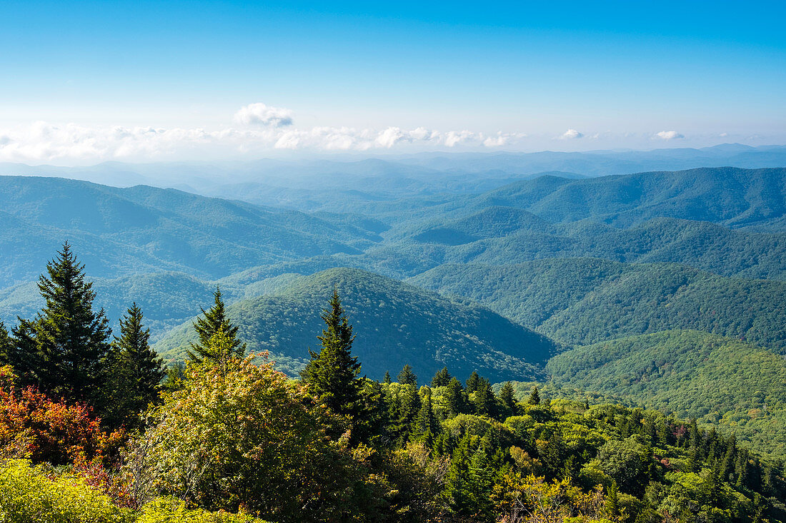 United States, North Carolina, Transylvania County. Blue Ridge Mountains from Devil's Courthouse, Blue Ridge Parkway.