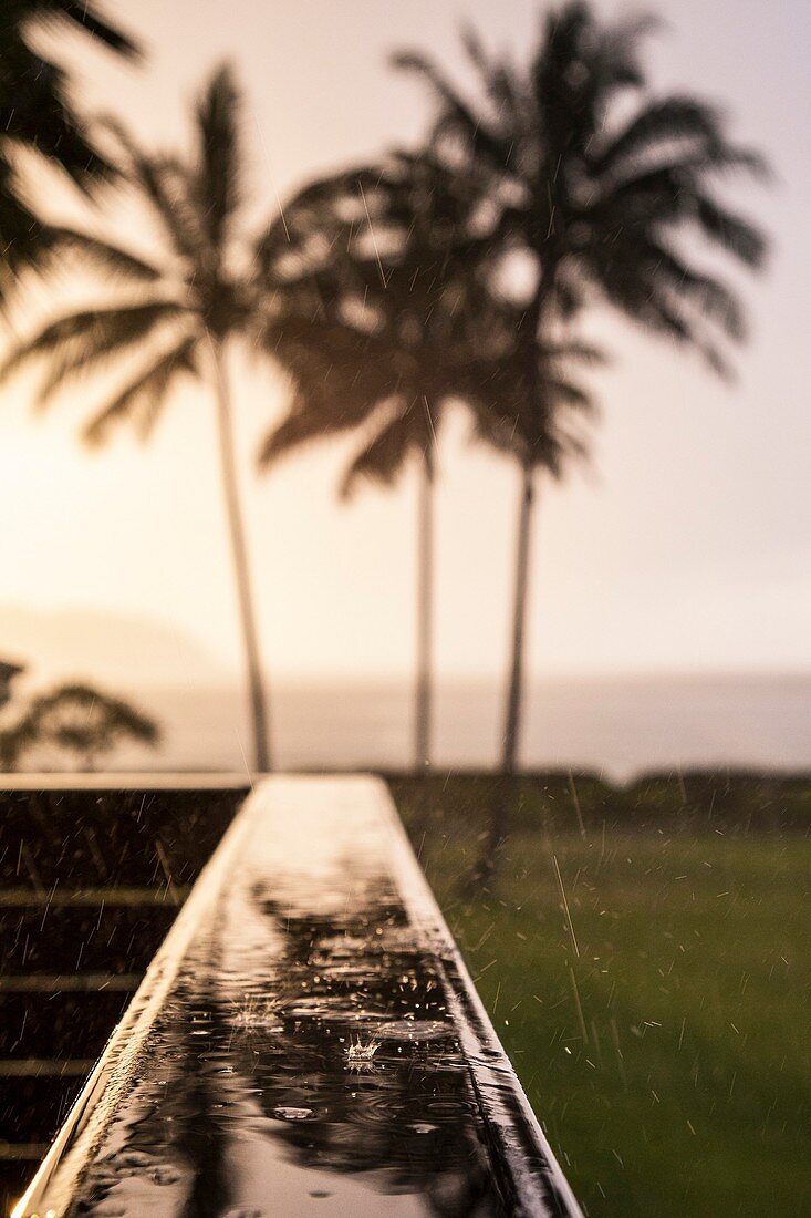 Fotografie des Regens fallend gegen Schattenbilder von Palmen bei Sonnenuntergang, Kauai, Hawaii, USA.