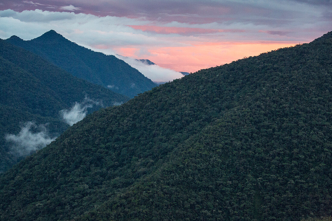 Beautiful natural scenery of Peru Cloud Forest on mountains viewed from biological research station Wayqecha, Paucartambo, Peru