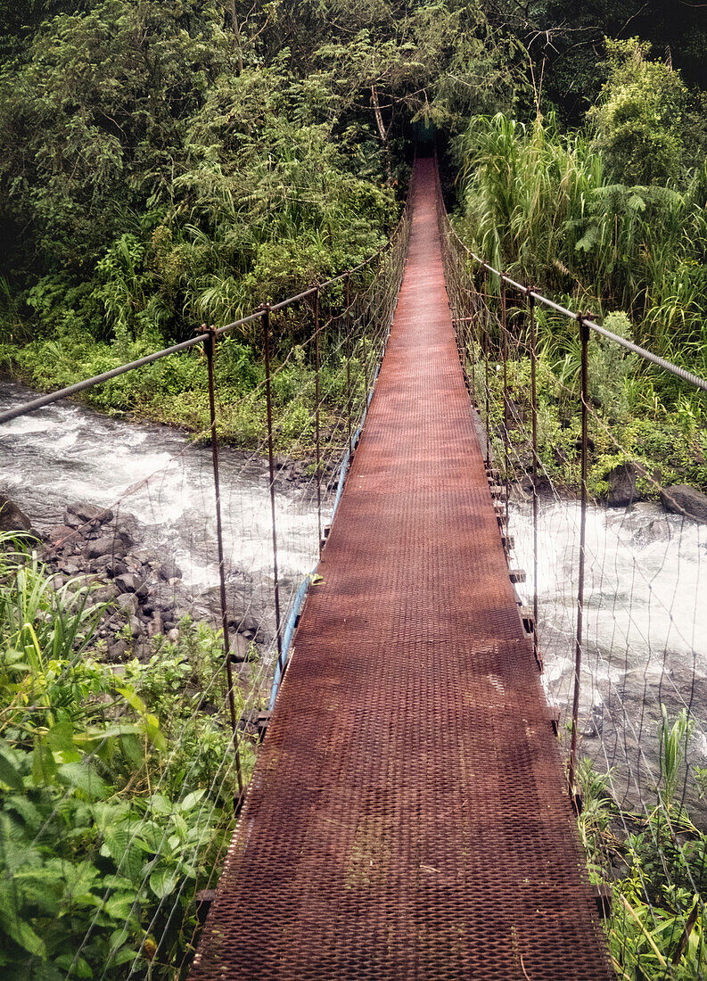 Eine Brücke über den Agua Caliente Fluss auf der Wanderung zum Cerro Chato, um den Vulkan Arenal, Costa Rica, zu sehen