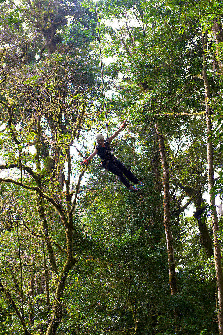 Riesenschaukel im Regenwald in Monteverde, Costa Rica