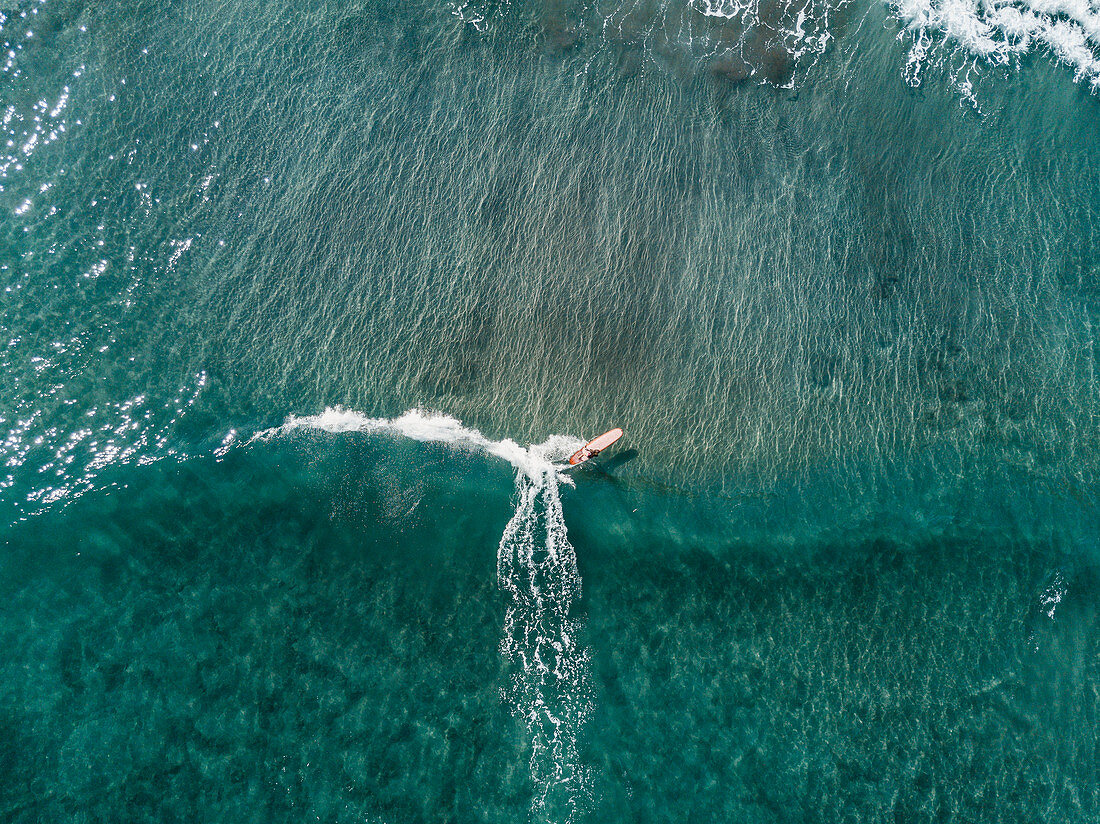 Aerial view of female surfer surfing in crystal clear water, Tenerife, Canary Islands, Spain