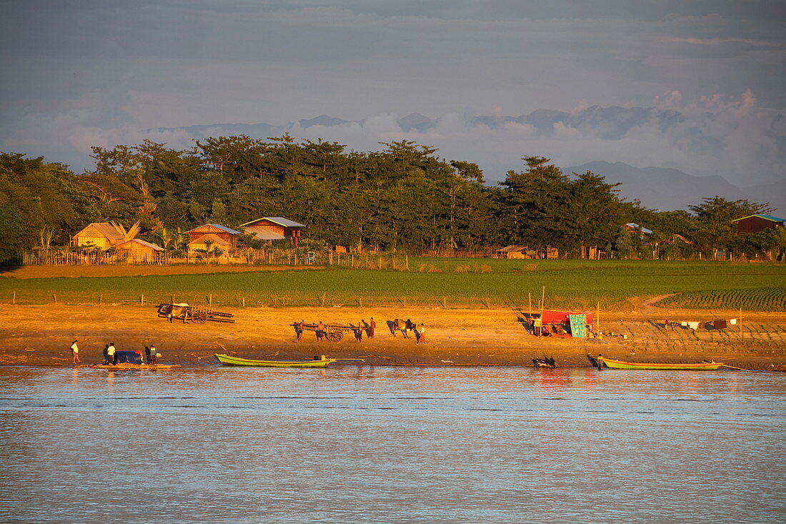 Longtail boats and ox carts along eastern bank of Ayeyarwady (Irrawaddy) river at sunset, near Mingun, Sagaing, Myanmar