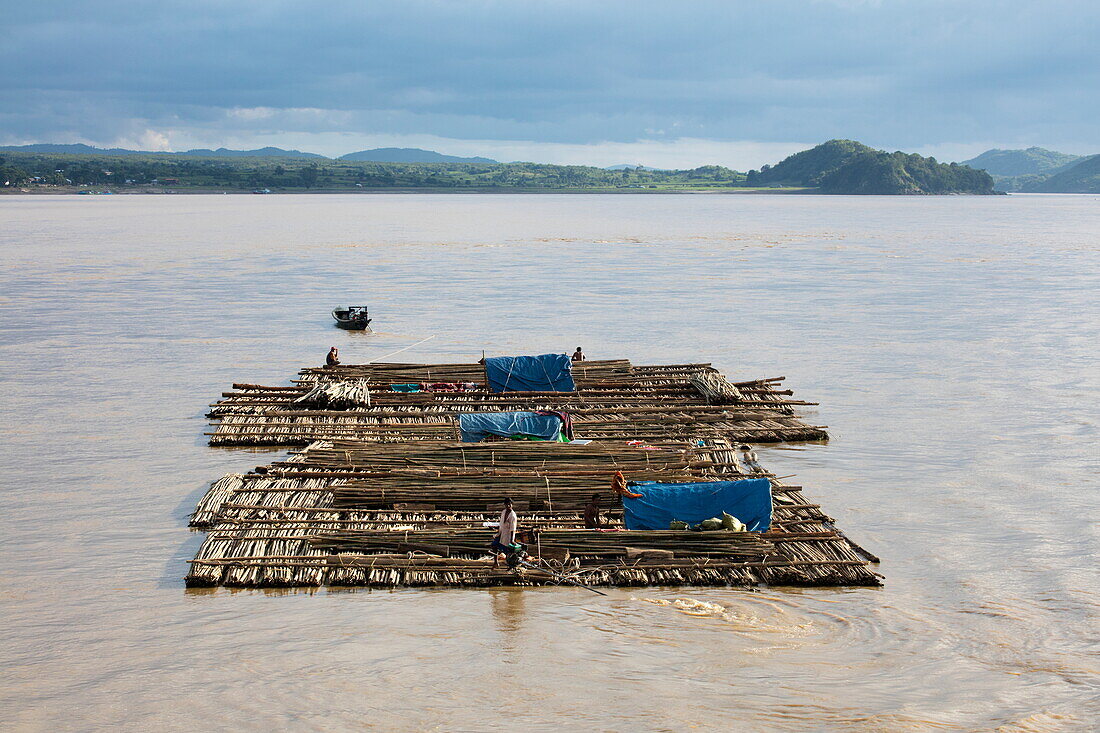 Riesiges Floß aus Baumstämmen fährt stromabwärts am Fluss Ayeyarwady (Irrawaddy), nahe Ngayiphyo, Sagaing, Myanmar