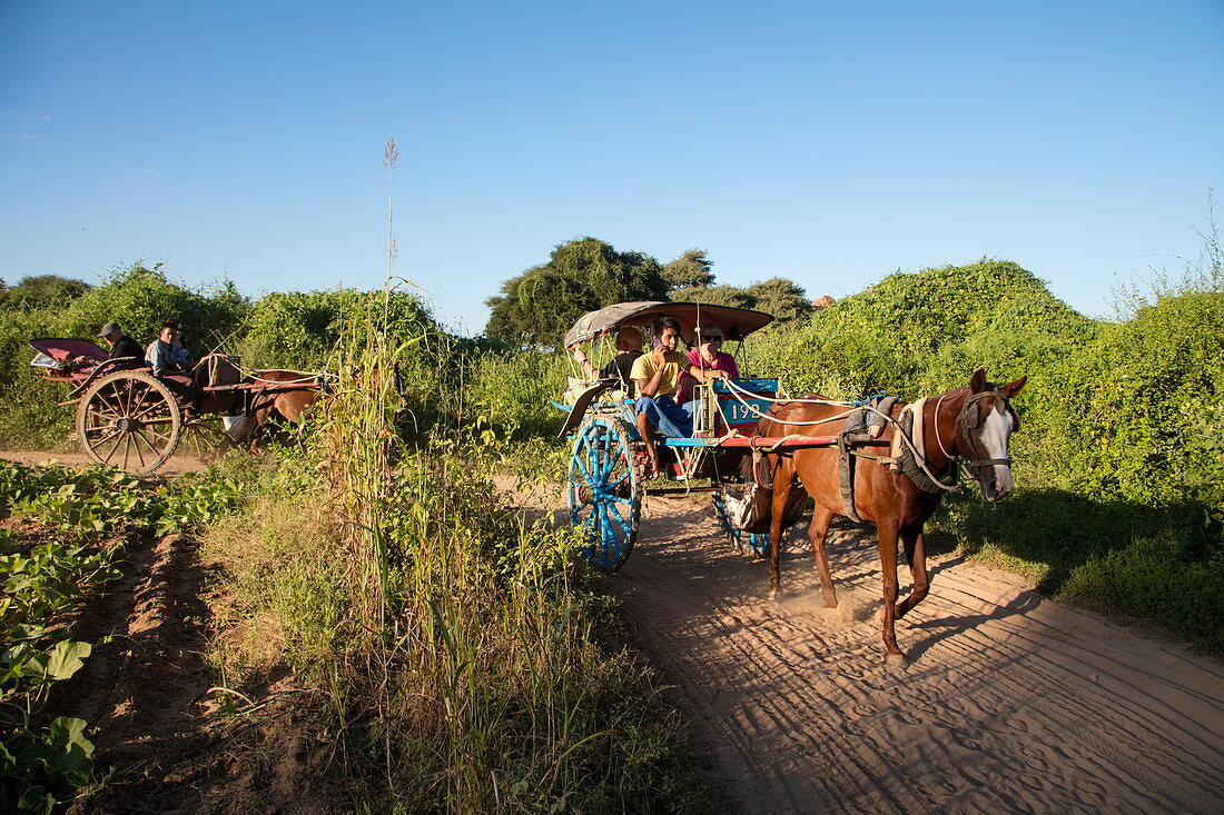 Ausflug mit der Pferdekutsche auf staubigem Weg nahe der alten Tempel von Bagan, Bagan, Mandalay, Myanmar